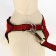 Acunition set is embossed, leash 120 x 2 cm, og 44-50 cm, red-black
