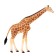 Figure "Mesh giraffe"