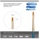 Brush Art Synthetics Gamma "Gallery", Plainer No. 0, Short handle 303000