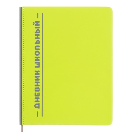 The universal diary for grades 1-11 is an excellent student, a solid cover made of artificial leather, silkography, lies, 48 ​​sheets, light green
