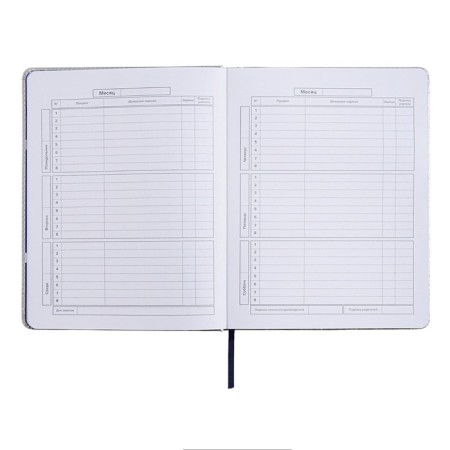 School diary for grades 1-11 "Cherry", solid cover with foam rubber, artificial leather, applique, lies, 48 ​​sheets, handle in the kit, block 70g/m2-10
