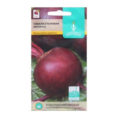 Beets "mulatto", ts/p, 2 g-4