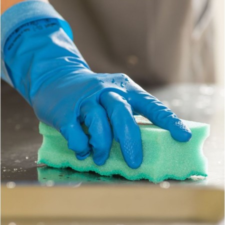 Professional cleaning sponge with VILEDA PUPETIVE, Blue color, 6.3 x 14 cm-1