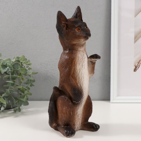 The piggy bank "Kitten Tom" 27 x 10 x 10 cm.-2