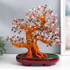 Bonsai souvenir 