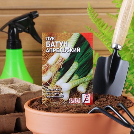 Seeds of Luke Batun "April", 1 g-4