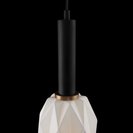 Suspended lamp Freya FR9001PL-01B Delta, 200x260x1120 mm, E27, 1x60W, black color-5