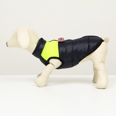 Lightning dog jacket, size 8 (ds 23 cm, og 30, Osh 22 cm), blue with yellow-3