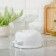 Cylindrical pan, 1.5 l, d = 16 cm, h = 9.5 cm, enameled cover, induction, white color