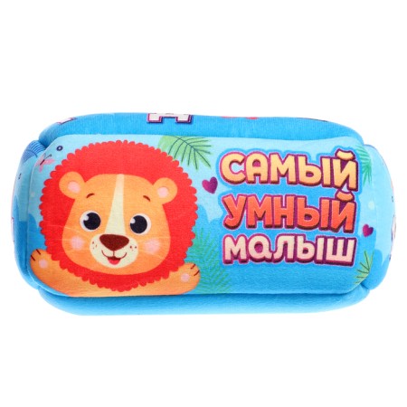Sorter "Most Smart Baby"-4