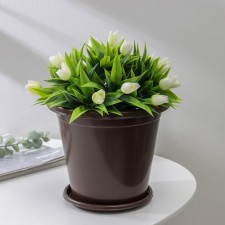 Pot with the Podon 