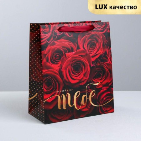 Gift Laminated vertical package, packaging, “this is all to you”, ml 23 x 27 x 11.5 cm-5