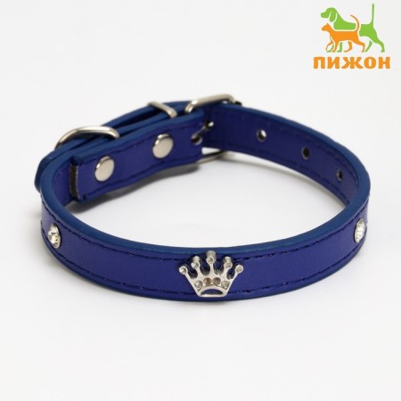 Collar "crown" with metal decor and rhinestones, 36 x 1.4 cm, Osh 24-31, blue