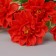 Bouquet "Begonia Ampel" 26 cm, mix