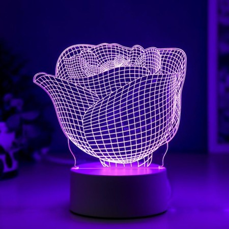 Rosa Light Rosa Led RGB from the Risalux network-4
