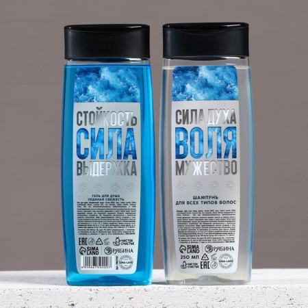 Gift set, shower gel and hair shampoo, 2 x 250 ml, new year-2