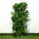 Decorative fence, 120 × 70 cm, “aspen sheet”, Greengo