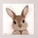 Napkins single -layer “rabbit”, 33 x 33 cm, set 20 pieces
