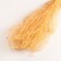 Set of dried flowers "Miscantus", banch 3-5 pcs, length 60 (+/- 6 cm), orange