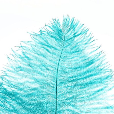 Feather for decor, length: from 45 to 60 cm, emerald color-1