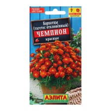 Seeds velvet champion Red Odn ts/n 0.2 g