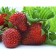 Strawberries Garden Florentina, P9 Pot, 1 pc, summer 2024