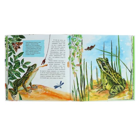 I want to know everything about animals. Tanasiychuk V.N.-3