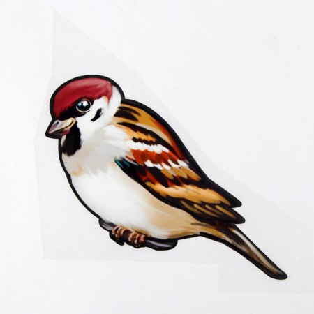 Thermalrotransfer "Sparrow", 15.5 x 13.5 cm, set of 10 pcs.-1