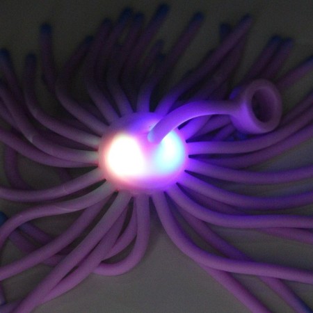 Hedgehog "Medusa", light, color mix-4