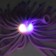 Hedgehog "Medusa", light, color mix