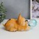 Souvenir Polystone Light "Bulldog and soap bubble" from the solar battery 12x11.5x26 cm