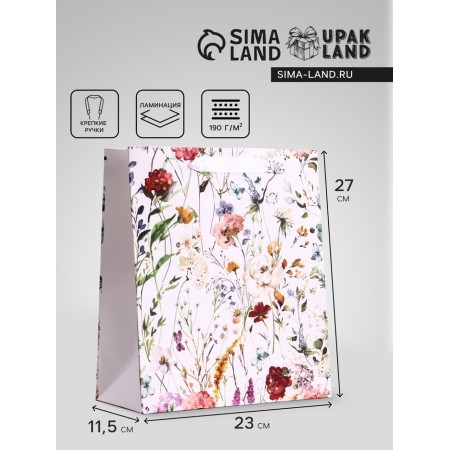 Gift Vertical Mix Gift, Ml 23 × 27 × 11.5 cm