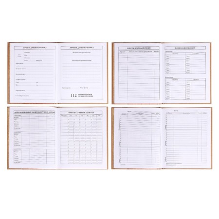 Diary for grades 5-11, 48 sheets of Zlatovlaska, solid cover, craft, offset block-3