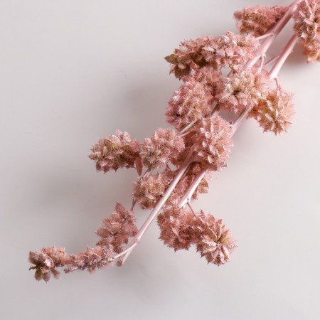 Set of dried flowers "licorice", ban 3 pcs, length 60 (+/- 6 cm), pink-2