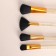 A set of makeup brushes, 12 objects, case, color mix