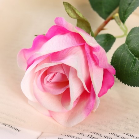 Artificial flowers "Rose charm" 6x46 cm, white-pink-1