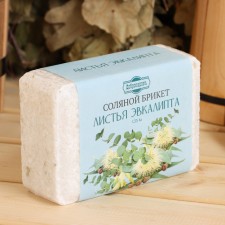 Salt briquette 