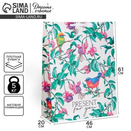 Gift laminated vertical, packaging, Present for You, 61 x 46 x 20 cm