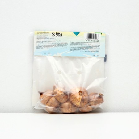 Gladiolus large-flowered "Conca d’Ore", rr 8/10, 7 pcs,-1