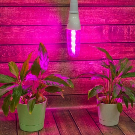 LED phytolamp, 12 W, E27, IP65-3