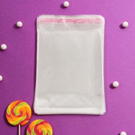 BOPP package with an adhesive valve 16 x 20/4 cm, 25 μm-6