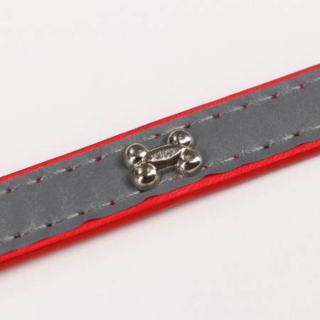 A collar with bones reflective, 37 x 1.3 cm, Osh 26-33, red-4