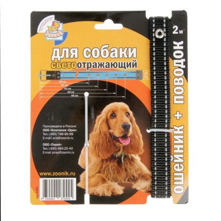 AMUNICA KISTOM "ZOONIC", collar 34-46 cm x 2 cm, leash 2 m, black-1