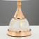 Highlight lamp with backlight 58087/1 1x40W E27 gold 20x20x36 cm Risalux