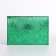 Cover for passport, green color