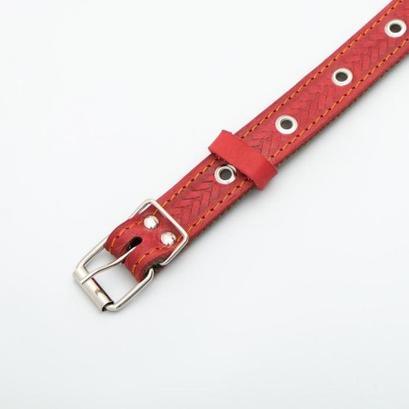 Collar combined leather/tarpaulin, dimensionless, 56 x 2.5 cm, Osh 25-51 cm, red-3