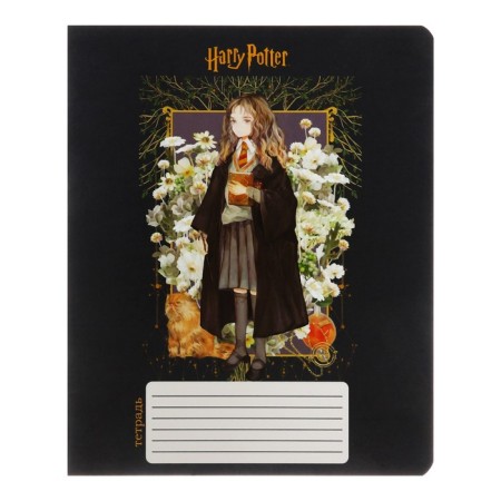 Notebook of 12 sheets in the Harry Potter cage, covered cardboard, OFSET block 65, 5 species mix-7