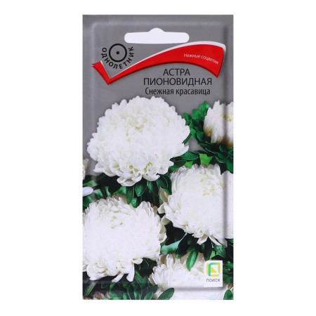 Flower seeds Astra Pionovid "Snow Beauty", 0.3g.