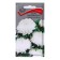 Flower seeds Astra Pionovid "Snow Beauty", 0.3g.