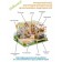Interior designer Hobby Day Minihouse "Kotokafe", Rumbox